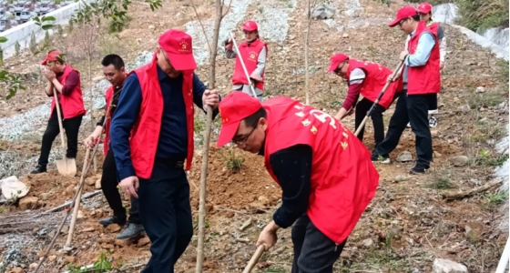 村企共建，共植先锋林